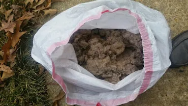 Bag full of removed dryer lint and duct debris after professional dryer vent cleaning and duct work cleaning service."